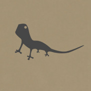 Profile Image for Amy Goff.