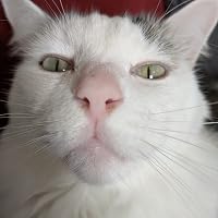 Profile Image for Micah.