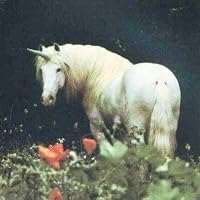Profile Image for simone.