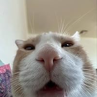 Profile Image for misshhhh5.