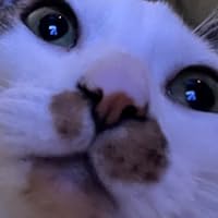 Profile Image for Meg.