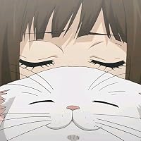 Profile Image for Toki Doki .