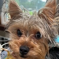 Profile Image for Chloe Fortin.