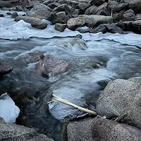 Profile Image for Laura.