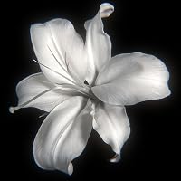 Profile Image for Heidi P..