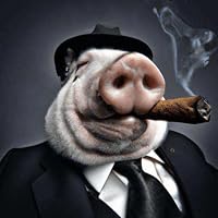 Profile Image for Oscar Duddy.