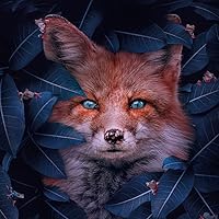 Profile Image for Nikki.
