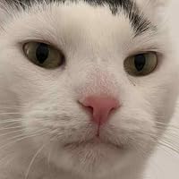Profile Image for baobabsko.