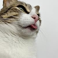 Profile Image for Valempira.