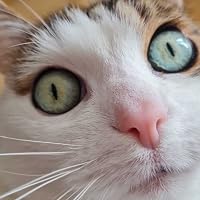 Profile Image for Misu.