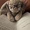 BookLover7