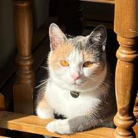 Profile Image for Tina Jenkin.