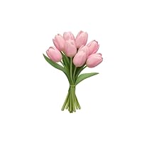 Profile Image for sara 🌷.