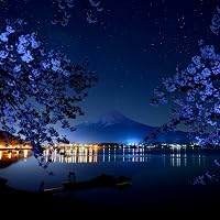 Profile Image for Astra.
