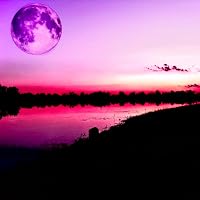 Profile Image for Lia W.