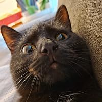 Profile Image for Charlie.