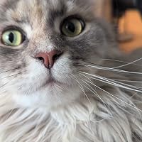 Profile Image for Natalie.