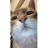 Profile Image for frany.