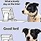 rinia