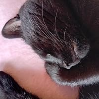 Profile Image for Lynne.