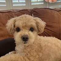 Profile Image for erieri.