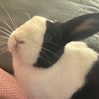 Profile Image for Sandra.