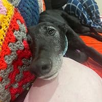 Profile Image for Sam.