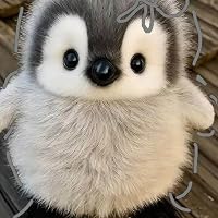 Profile Image for Little Reader .