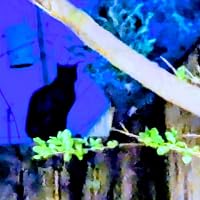 Profile Image for Maria Montz.