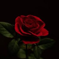 Profile Image for ༻ Lara ༺ .
