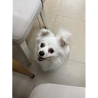 Profile Image for Nana Chan.