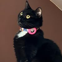 Profile Image for Allie.