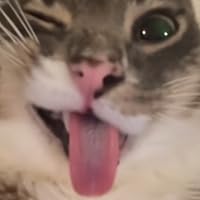 Profile Image for Chris.