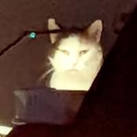 Profile Image for Theresa.