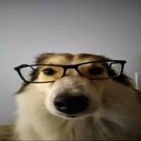 Profile Image for emoney.