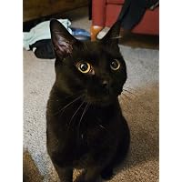 Profile Image for Conner.