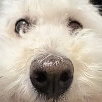 Profile Image for gretix.