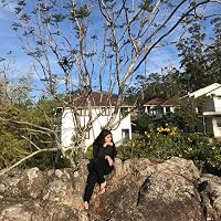 Profile Image for Riya Jeph.