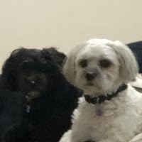 Profile Image for Bella Rose.