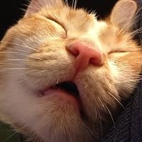 Profile Image for ippahae.