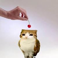Profile Image for JustDantw.