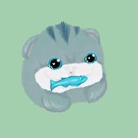 Profile Image for adam bazyli.