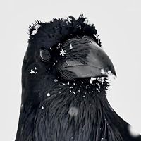 Profile Image for Ralitsa Gramatikova.