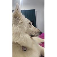 Profile Image for Amanda.
