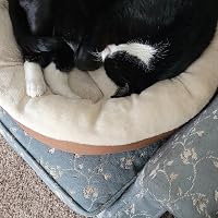 Profile Image for Janet.