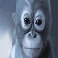 Profile Image for Toby Tomlinson.