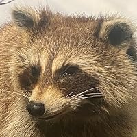 Profile Image for Jordan Jefferson.