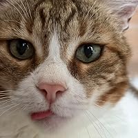 Profile Image for Pheebs Buffay.