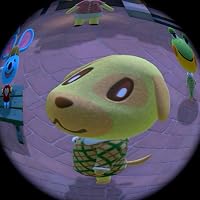 Profile Image for gemma.