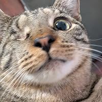 Profile Image for Josh.